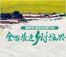 ���o��(c��)���(xi��ng)Ŀ���}